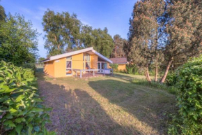 Seeschwalbe 231, Mirow